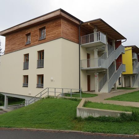 Family Apartment Lipno Lake Lipno nad Vltavou Eksteriør bilde
